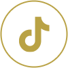 TikTokアイコン